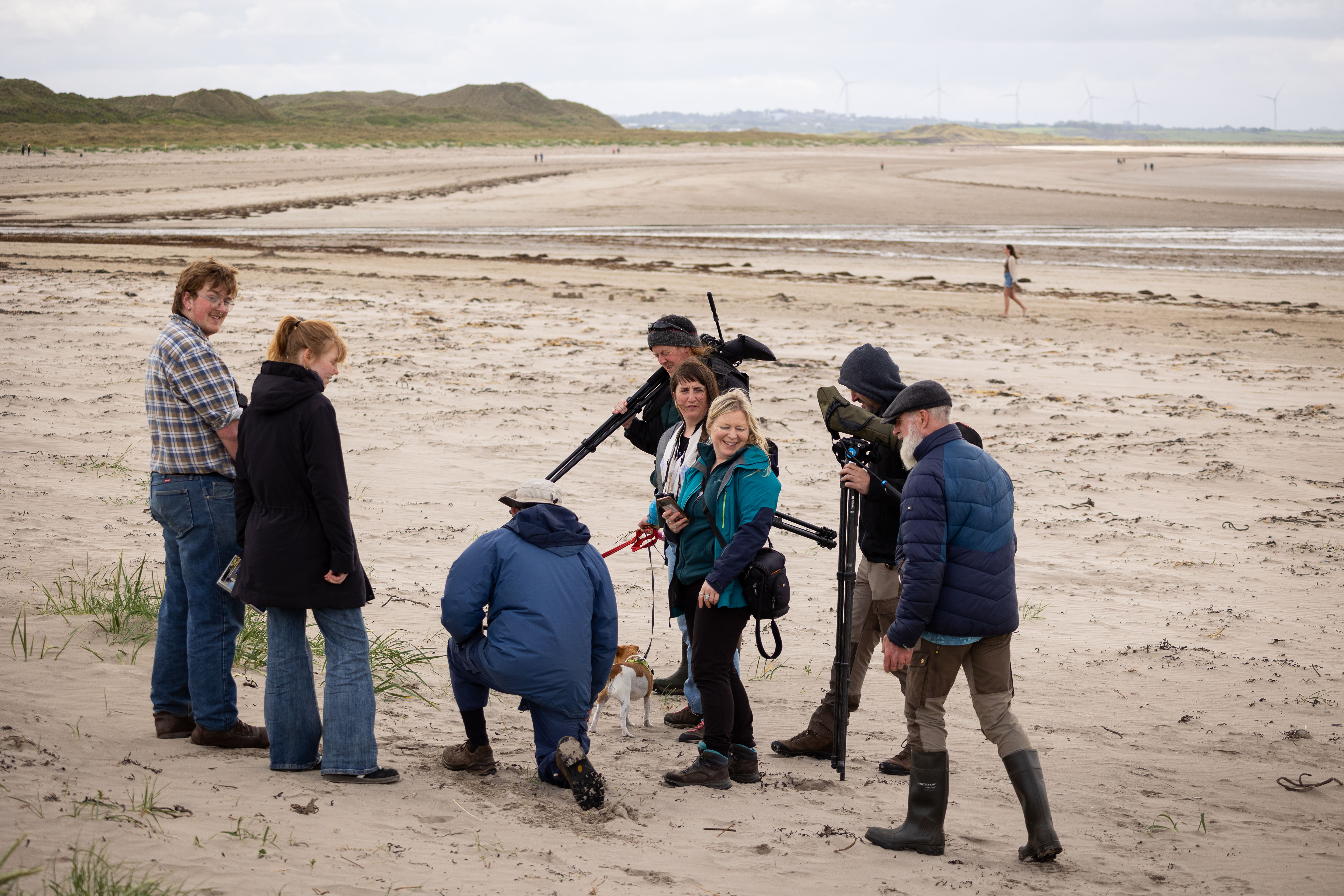 Wildlife recording on Enniscrone Beach 